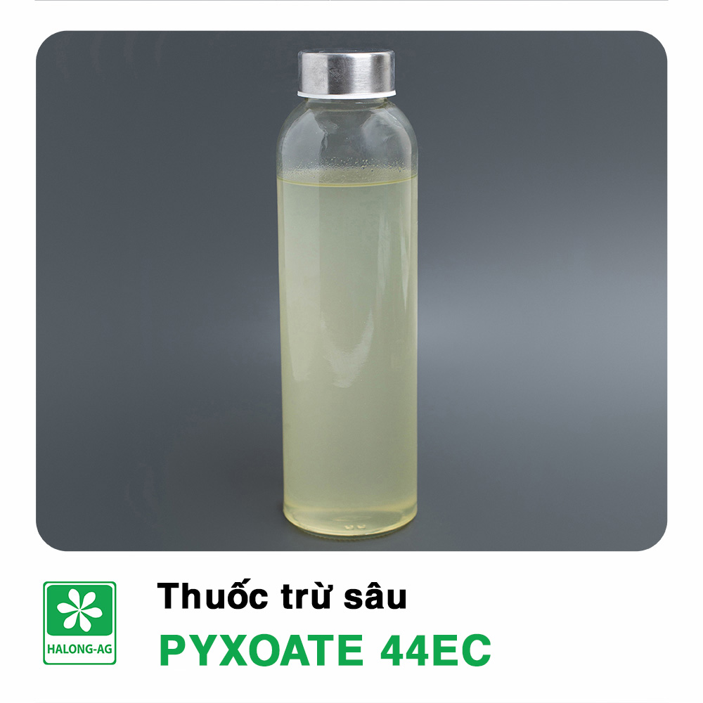 PYXOATE 44EC