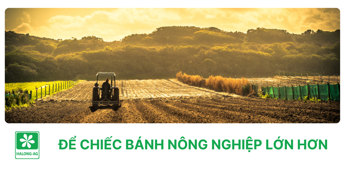 Để chiếc bánh nông nghiệp lớn hơn