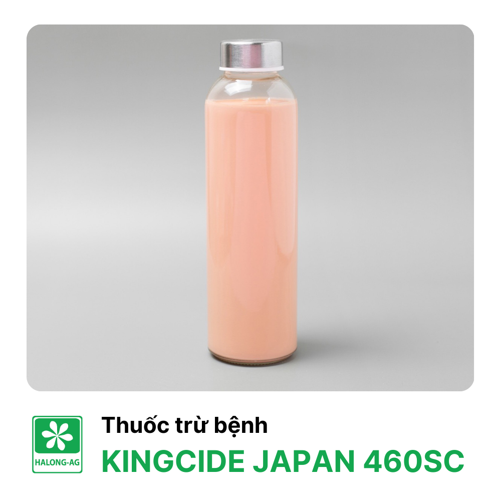 KINGCIDE JAPAN 460SC