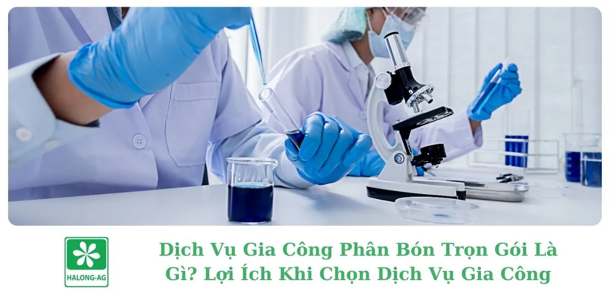 Dịch Vụ Gia Công Phân Bón Trọn Gói Là Gì? Lợi Ích Khi Chọn Dịch Vụ Gia Công 