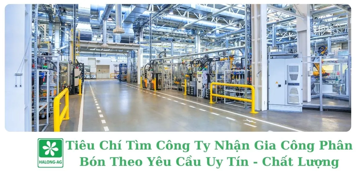 Tiêu Chí Tìm Công Ty Nhận Gia Công Phân Bón Theo Yêu Cầu Uy Tín - Chất Lượng