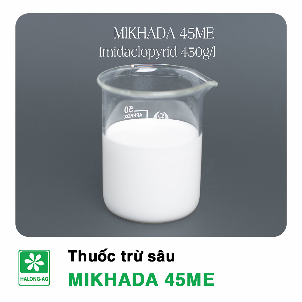 MIKHADA 45ME