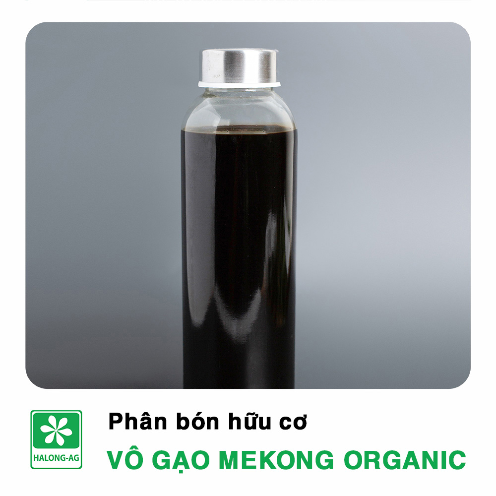 VÔ GẠO MEKONG ORGANIC