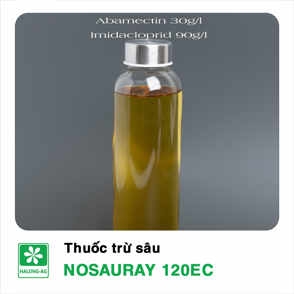 NOSAURAY 120EC