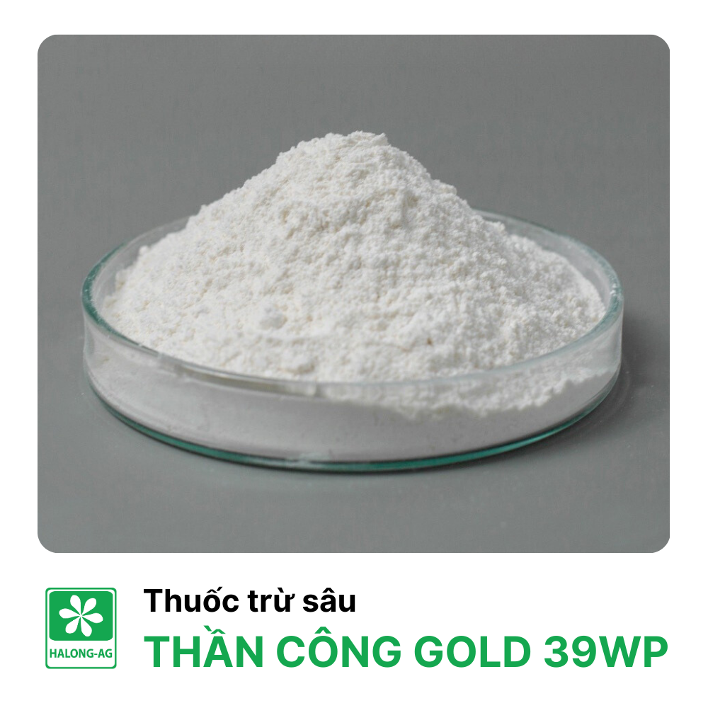 THẦN CÔNG GOLD 39WP