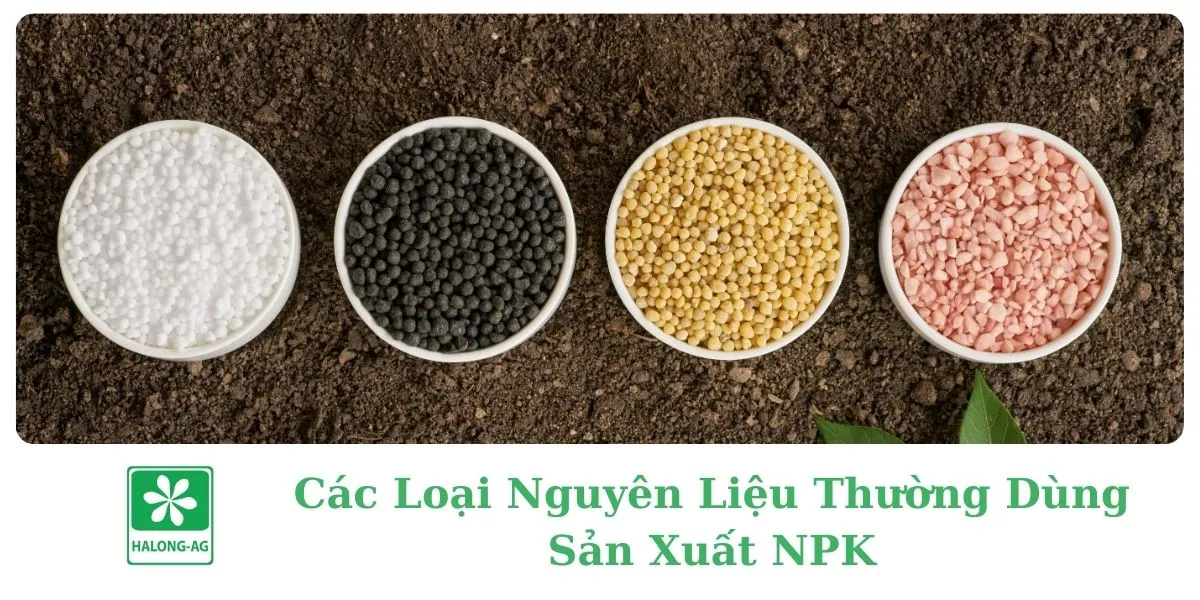 Các Loại Nguyên Liệu Thường Dùng Sản Xuất NPK