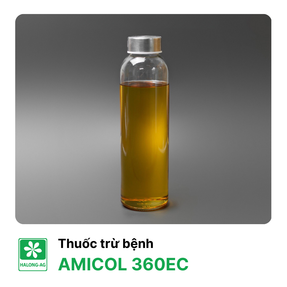 AMICOL 360EC