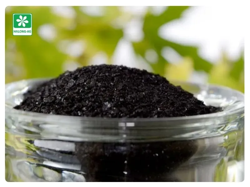 Humic