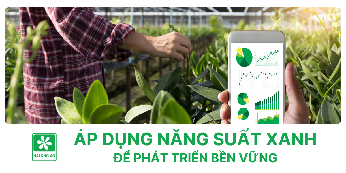 Áp dụng năng suất xanh để phát triển bền vững