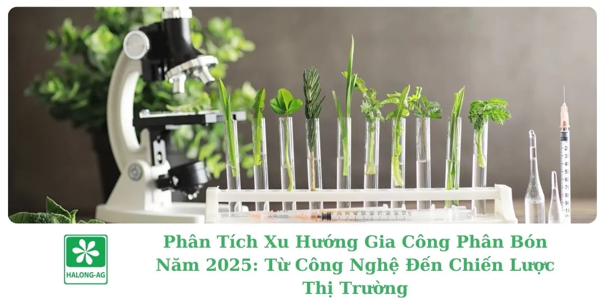 Phân Tích Xu Hướng Gia Công Phân Bón Năm 2025: Từ Công Nghệ Đến Chiến Lược Thị Trường