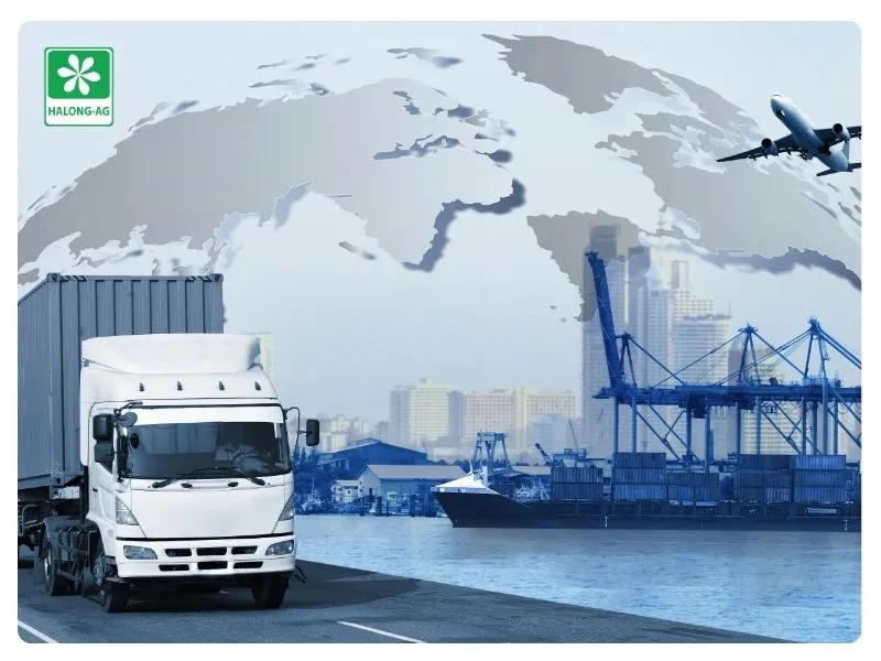 Nguồn gốc nhập khẩu nguyên liệu