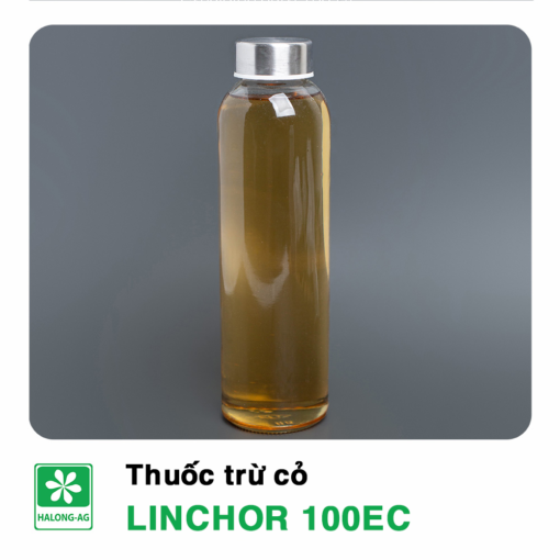 LINCHOR 100EC