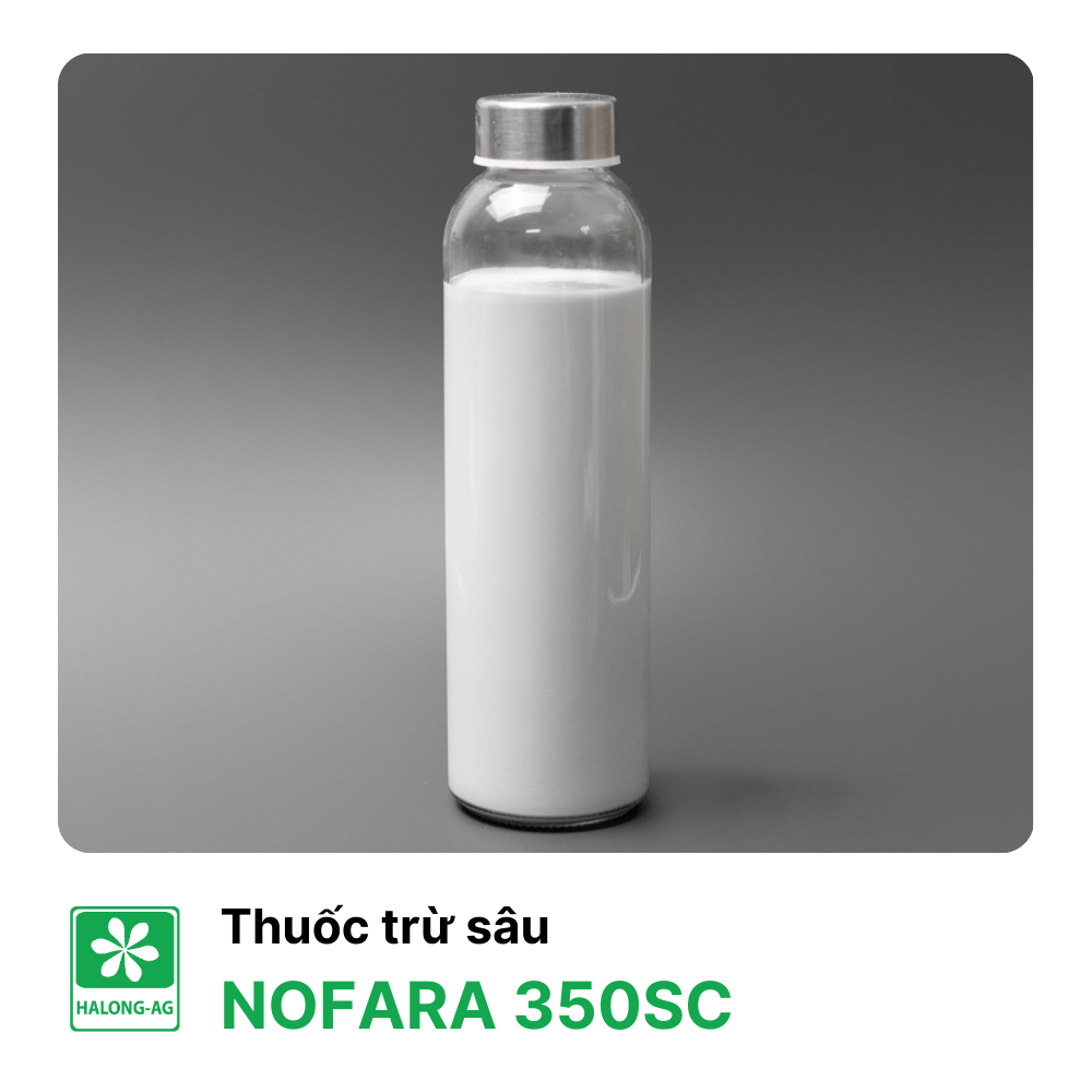 NOFARA 350SC