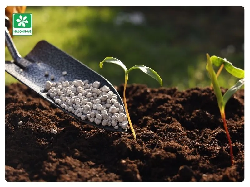 Giải đáp thắc mắc khi gia công phân bón