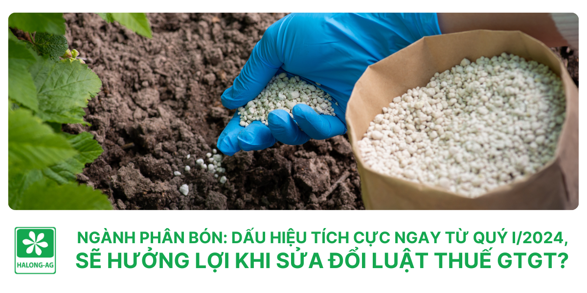 Ngành phân bón: Dấu hiệu tích cực ngay từ quý I/2024, sẽ hưởng lợi khi sửa đổi Luật Thuế GTGT?