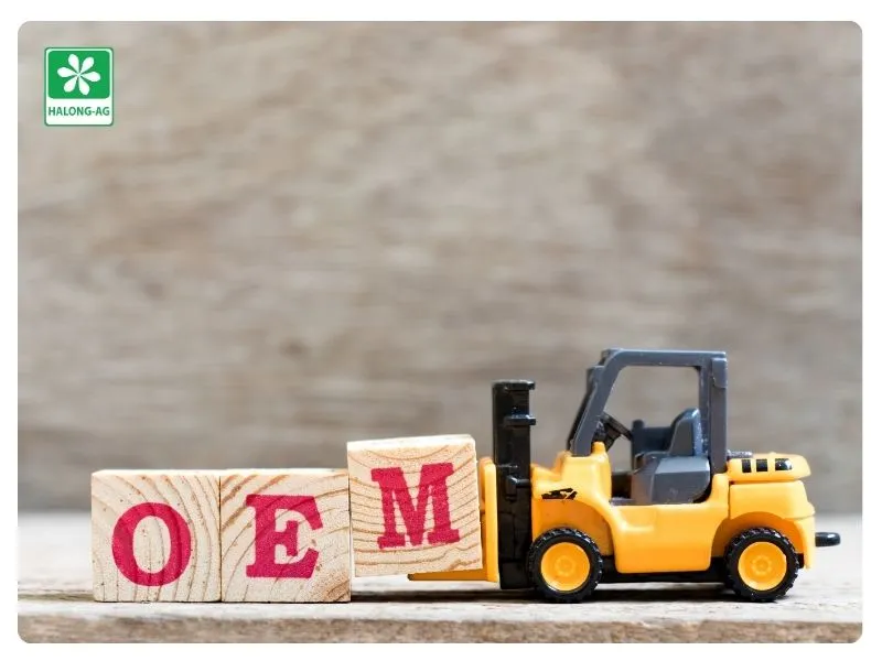 Original Equipment Manufacturer