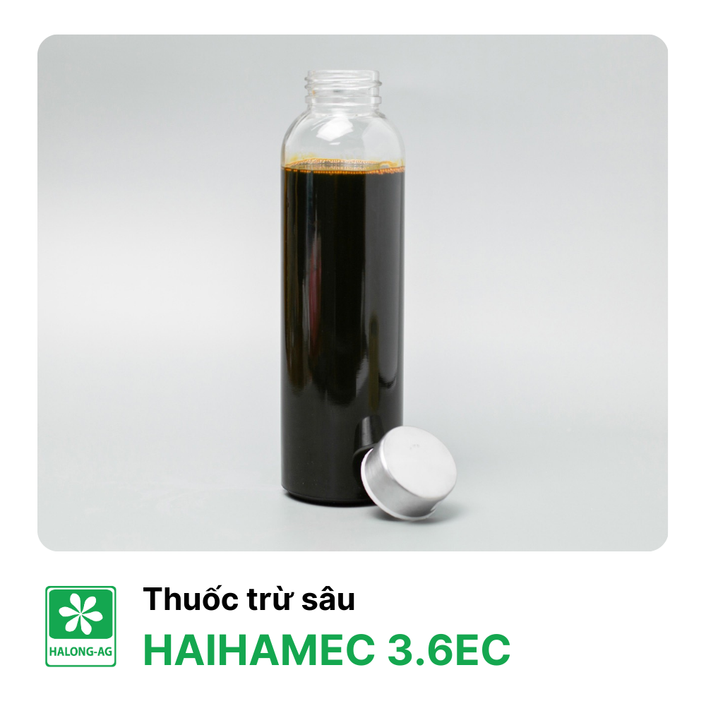 HAIHAMEC 3.6EC