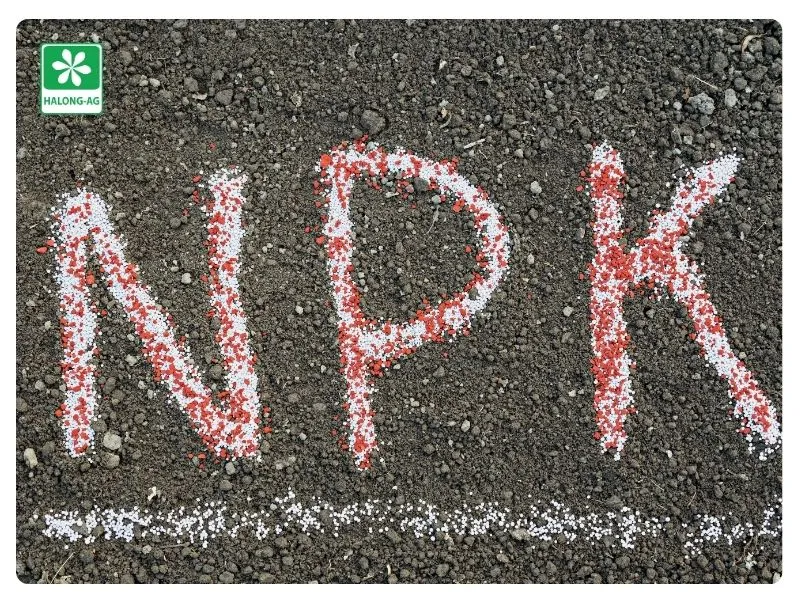 Chất dinh dưỡng NPK