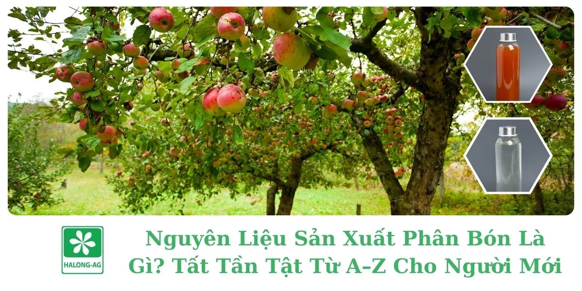 Nguyên Liệu Sản Xuất Phân Bón Là Gì? Tất Tần Tật Từ A–Z Cho Người Mới