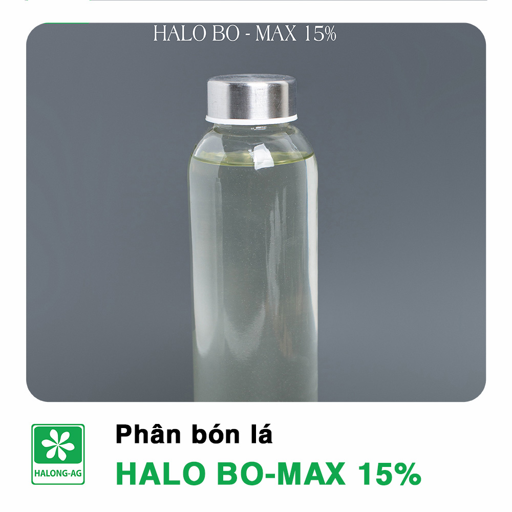 HALO BO-MAX 15%