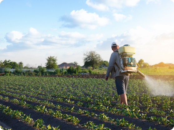 hệ thống đối tác 1